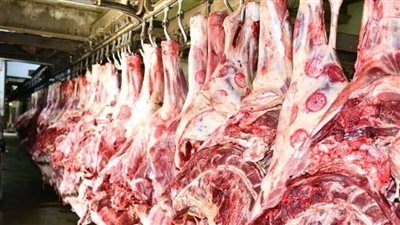 الكندوز بكام؟.. سعر كيلو اللحوم اليوم في الأسواق المحلية