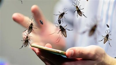 حيل منزلية بسيطة.. أفضل طرق طرد الذباب في الصيف