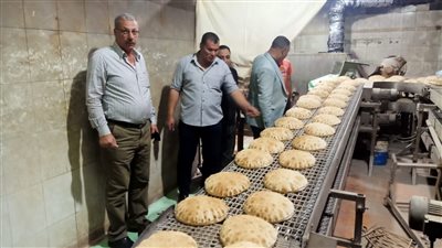 ضبط 18 مخبزًا بلديًا لإنتاجها خبزًا ناقص الوزن بالبحيرة
