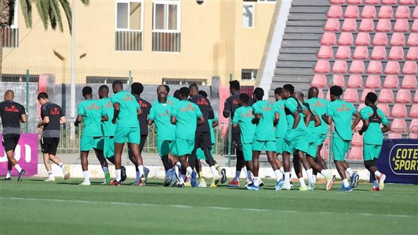 منتخب غينيا 