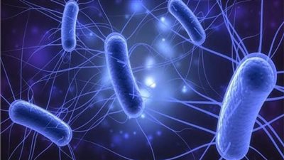 قتلت 113 شخصا.. تحذيرات من تفشي بكتيريا الإشريكية القولونية بـ بريطانيا