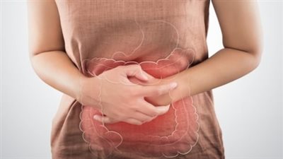 أبرزها الخضراوات.. دراسة تكشف عن أطعمة تعزز صحة الأمعاء 