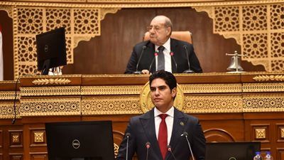 رئيس الشيوخ يوجه لجان المجلس بدراسة الذكاء الاصطناعي وتأثيره على كافة المجالات