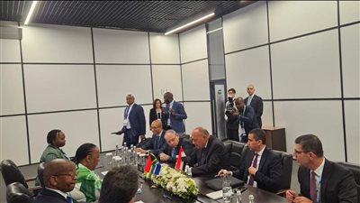 وزير الخارجية: نرفض جميع الأعمال العسكرية والانتهاكات الإسرائيلية الجسيمة في رفح