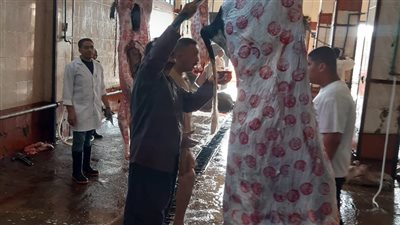 محافظ الجيزة يحظر نقل وحفظ جلود الأضاحي دون تصريح.. و5 آلاف جنيه غرامة للمخالفين