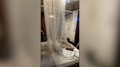 سرب حشرات يرعب سائحين في تايلاند