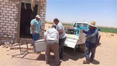 قطع الكهرباء عن الشركات الاستثمارية المخالفة في الوادي الجديد