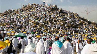 شركات السياحة تستعد لـ تصعيد الحجاج إلى عرفات | بث مباشر