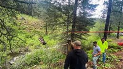 ركض 6 كيلو لطلب المساعدة.. كلب ينقذ صاحبه من الموت