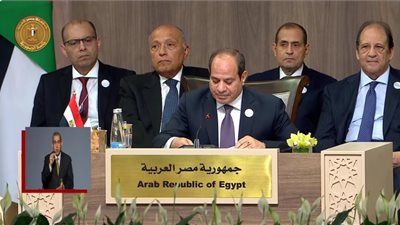 السيسي: مصر حذرت من خطورة العمليات العسكرية الإسرائيلية في غزة
