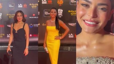 منهم حلا شيحة ونسرين أمين.. أبرز الحضور في العرض الخاص لفيلم ولاد رزق 3