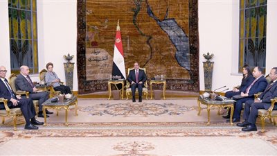 السيسي يستقبل رئيسة بنك التنمية الجديد