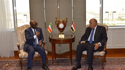 وزير الخارجية يؤكد أهمية الوقف الفوري لإطلاق النار ودخول المساعدات الإنسانية