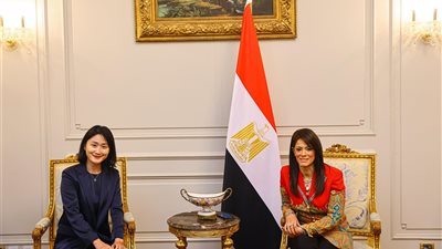 المشاط تبحث مع الوكالة الصينية للتعاون الإنمائي الدولي تفعيل مذكرة التفاهم المشتركة حول مبادلة الديون