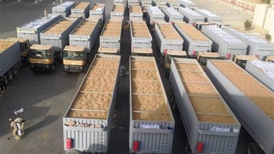 محافظ أسوان: تخطي المستهدف من توريد كميات القمح داخل وخارج المحافظة بنسبة 105.8%