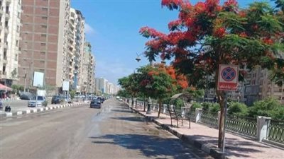 البيئة: زراعة 1.4 مليون شجرة في العام الأول للمبادرة الرئاسية | صور 