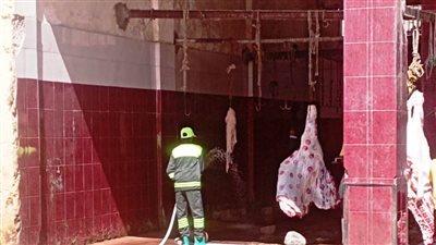 محافظ أسوان يوجه بفتح المجازر بالمجان طوال أيام عيد الأضحى