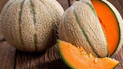 تهريب مخدرات في الكنتالوب.. إحالة 10 أشخاص بينهم سوريان إلى جنايات قنا