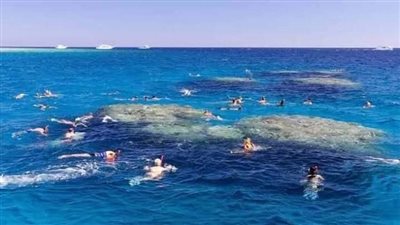 تظهر صيفًا ونهارًا وتختفي طوال الشتاء والليل..الجزيرة المسحورة بشرم الشيخ أجمل بقاع الأرض | صور