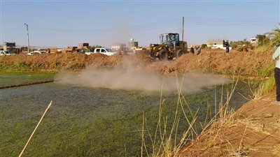 محافظ الوادي الجديد: محاضر وغرامات مالية لمزارعي الأرز المخالفين 