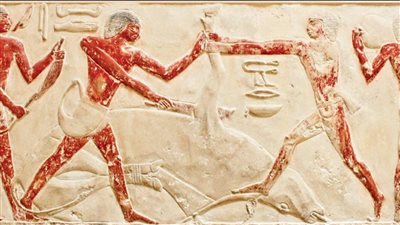 مذبح هليوبوليس الرباعي.. تاريخ الأضاحي في مصر القديمة | صور