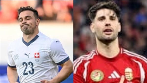 سوبوسلاي ضد شاكيري-