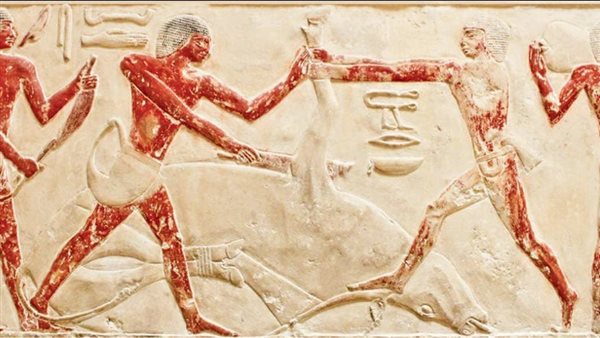 الأضاحي في مصر القديمة