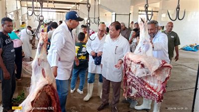 بيطري الأقصر: نستقبل كافة الأضاحي بالمجازر طوال أيام العيد مجانا 