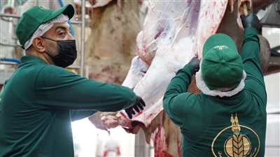 بيت الزكاة يعلن بدء ذبح أضاحي العيد.. و4 دول تشارك في حملة صك الأضحية