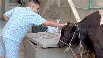 عمر كمال يشارك متابعيه أضحيته بعيد الأضحى: ربنا ما يقطعها عادة