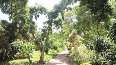 المتنفس الثاني للسكان.. ننشر تقرير لجنة الخبراء الثلاثية بشأن مشتل مصر الجديدة الرئيسي| خاص