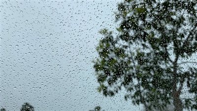 هل تشهد القاهرة أمطارا غدًا الأربعاء؟.. الأرصاد توضح