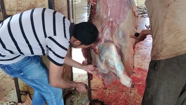 ذبح الأضاحي 