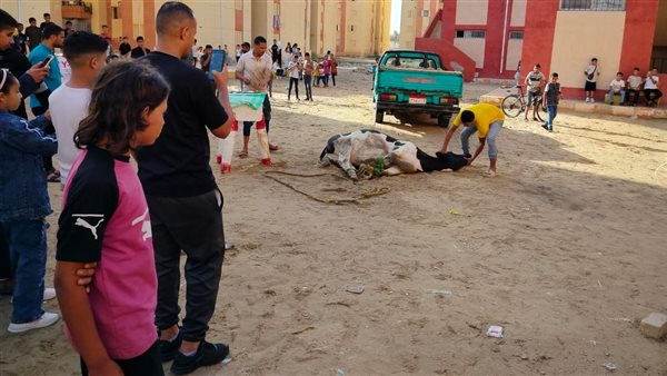 توزيع الهدايا ع ألأطفال