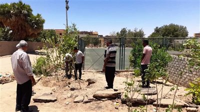 محافظ أسوان: تكثيف زيادة المسطحات الخضراء بزراعة الأشجار بالطرق والشوارع