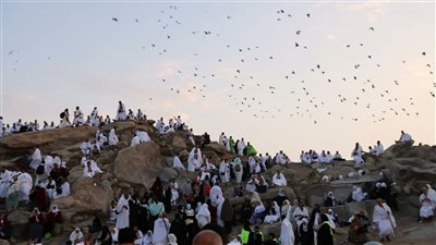 تأكيدًا لـ القاهرة 24│ غرفة السياحة: لا علاقة للشركات بتأشيرات الزيارة.. وحذرنا من أداء حامليها الحج 