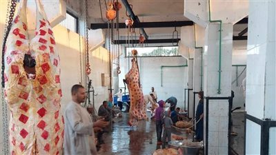 بالأسماء.. محافظة الجيزة تفتح جميع المجازر بالمجان لذبح الأضاحي خلال العيد