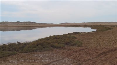 البحيرة المالحة وشاطىء مرسى البعيرة والشق الزلزلالى مناطق لجذب آلاف السائحين لرأس محمد بشرم الشيخ