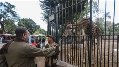 الإدارة العامة لحدائق الحيوان تكشف سبب عمليات التدوير المستمرة للحيوانات 