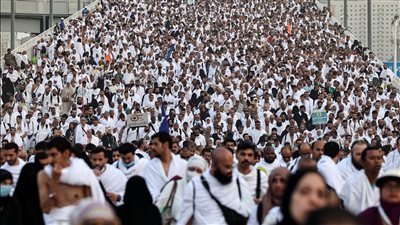 أغلبهم بسبب الحر.. وفاة أكثر من 300 مصري خلال موسم الحج لهذا العام | بث مباشر