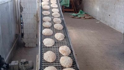 تموين الإسكندرية: حملات مكبرة على المخابز والأسواق وتحرير 273 محضرا للمخالفين