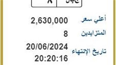 8 أشخاص يتزايدون على لوحة مرور تحمل اسم جبل.. بسعر 2.6 مليون جنيه