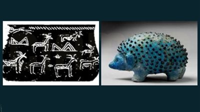  له قدسية عند المصريين القدماء.. متحف مطار القاهرة يعرض قطعة أثرية لـ حيوان القنفذ 