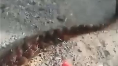 صدمة.. اكتشاف أعمال سحر أثناء تنظيف جبل عرفات| صور