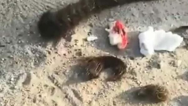 الصور المتداولة للسحر