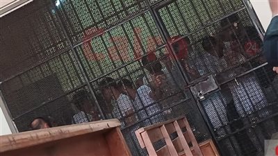 اليوم.. محاكمة المتهم بإنهاء حياة والديه وجاره وصديقه في السلام 