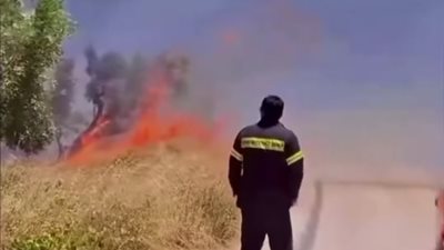 أكثر من 70 حريقا تجتاح غابات اليونان وقوات الإطفاء تحاول السيطرة