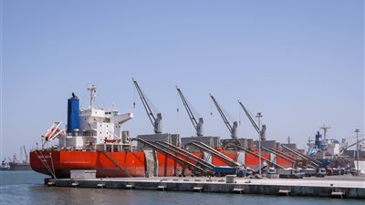 ميناء دمياط يستقبل أكثر من 35 ألف طن بضائع عامة خلال 24 ساعة