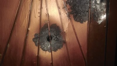 فتح النار على المنازل والجدران.. القبض على شاب وآخرين بتهمة ترويع المواطنين بالأسلحة في قنا|صور