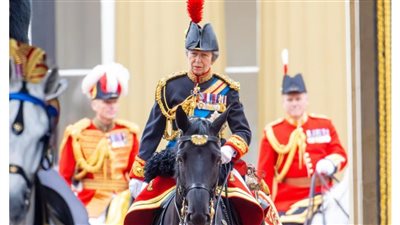 فقدان الذاكرة.. تطورات الحالة الصحية لأميرة قصر باكنجهام البريطاني 